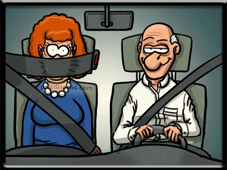 newseatbelt